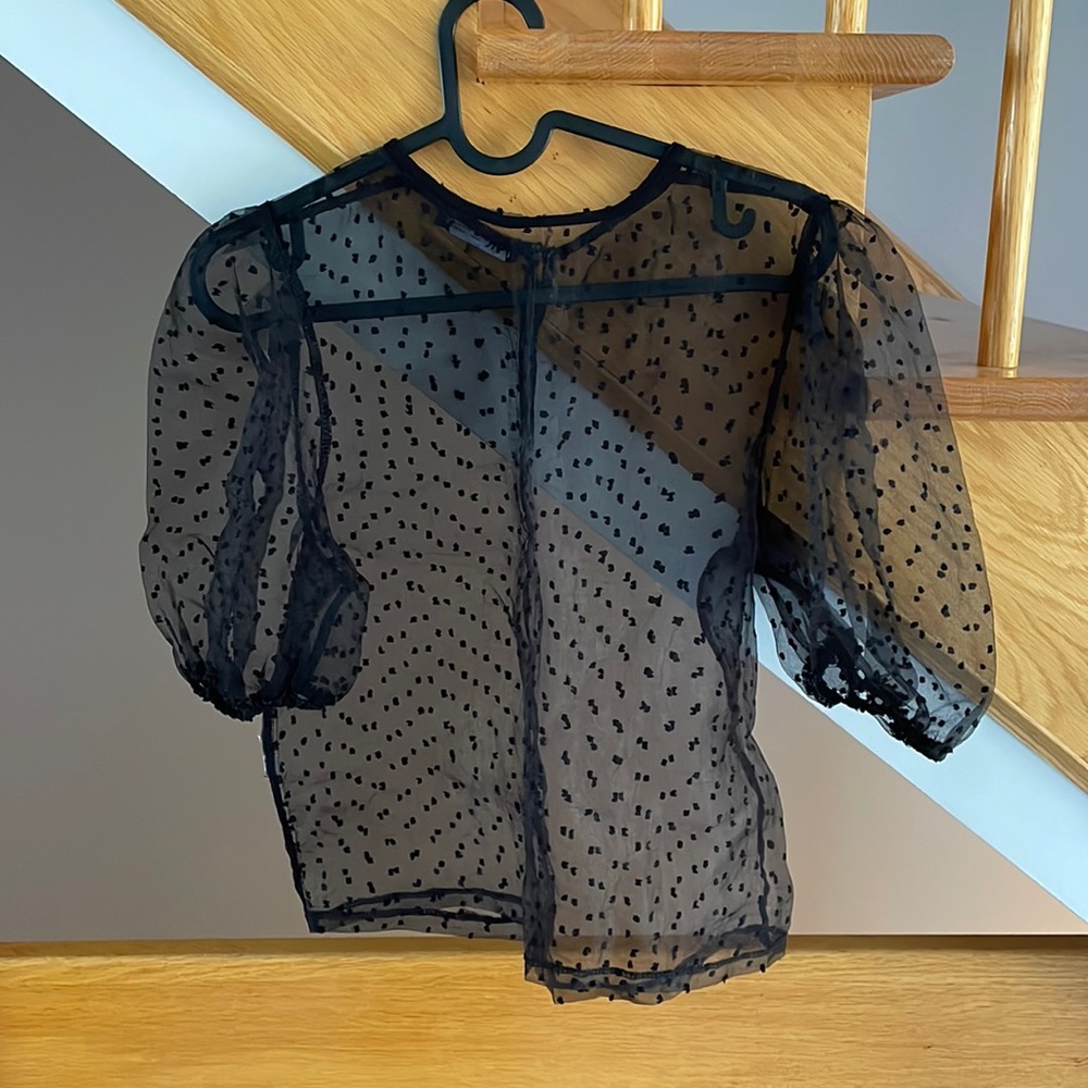 Zara Organza Top